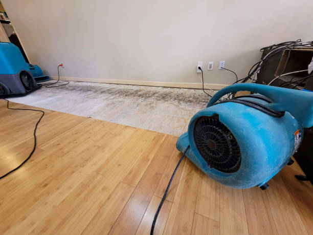 Professional Burst Pipe Water Damage technician working in Montgomery City, MO